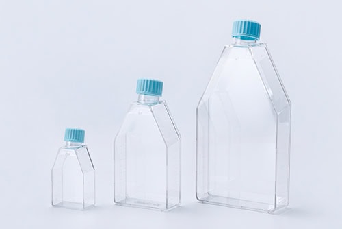 Cell Culture Flask