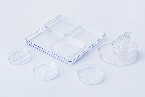 Plastic Petri Dish